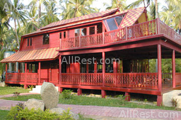 Coconut Paradise 46
